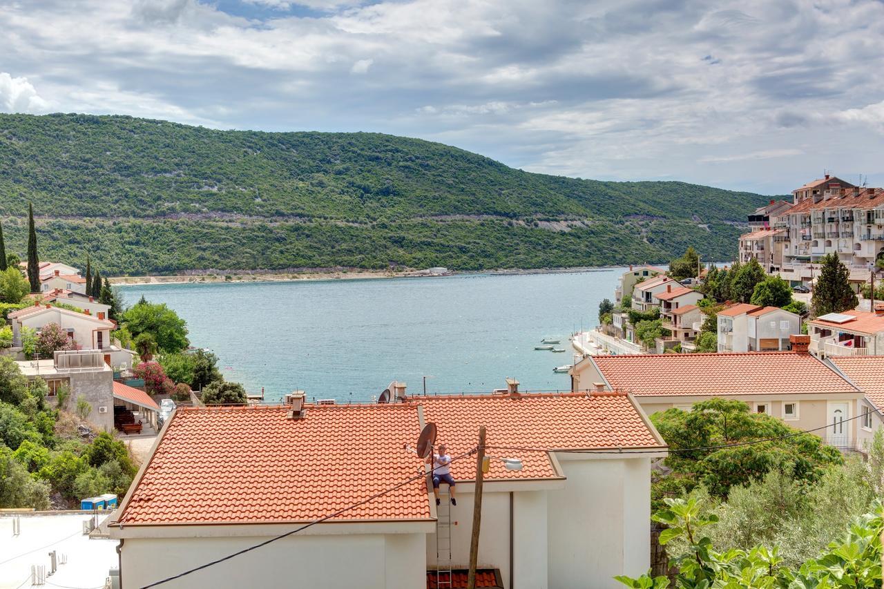 D&m Neum